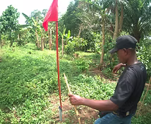 Veriground field photo